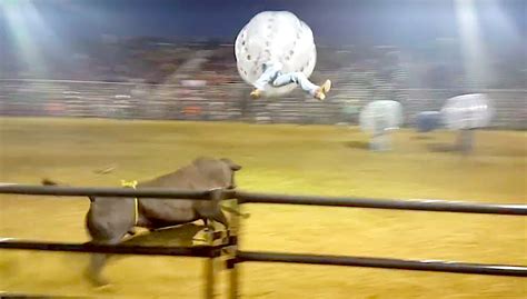 Weekend bull-running in Mexico sends 2 men to the hospital with serious injuries